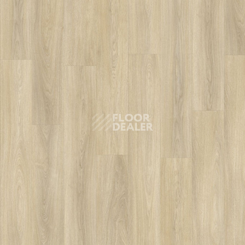 Кварцвиниловые полы Moduleo Next дерево Noble Oak 246 фото 1 | FLOORDEALER